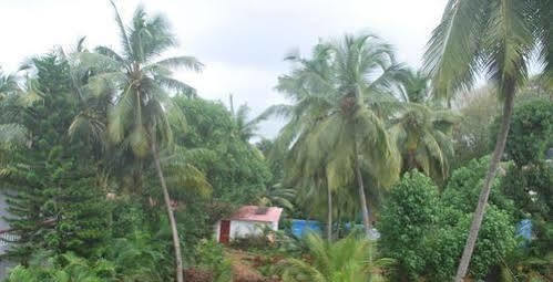 Gabriel Guest House Calangute Eksteriør bilde